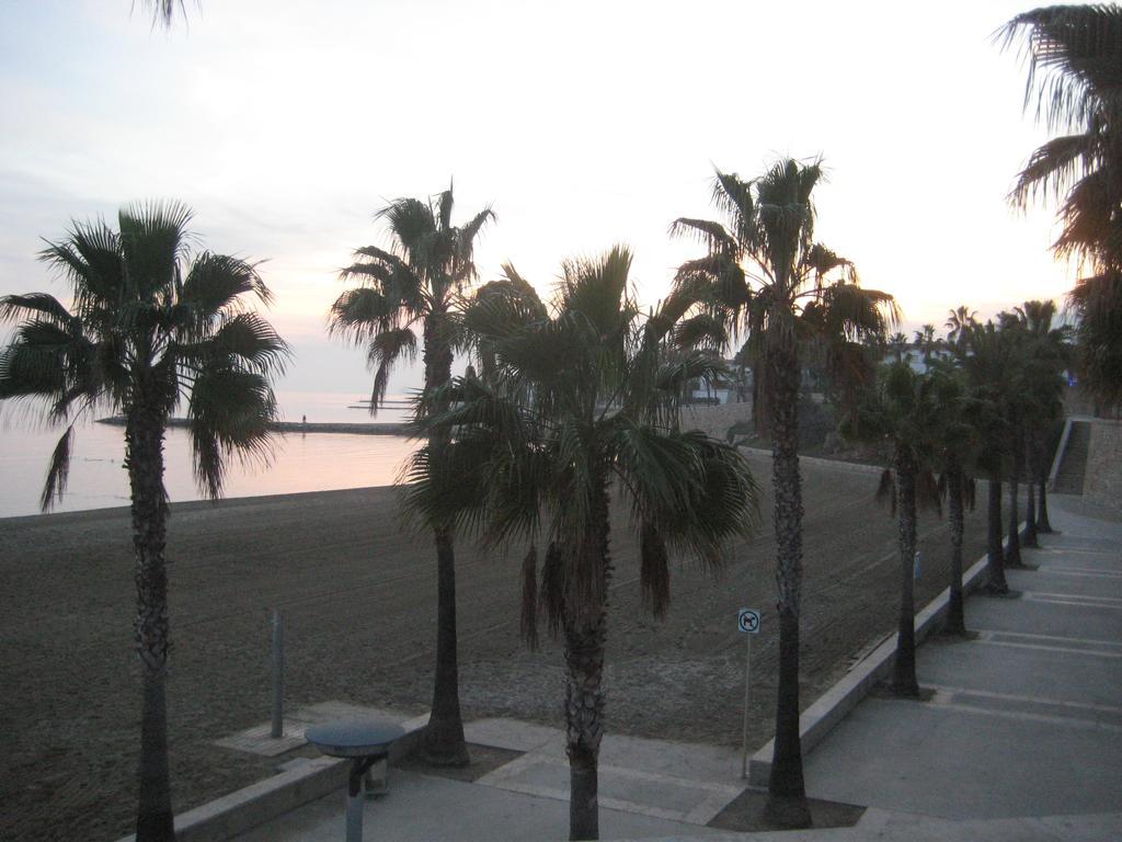 Apartamento Illa Mar Sant Carlos de la Ràpita Oda fotoğraf