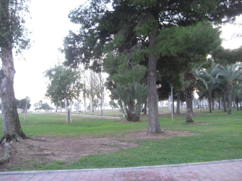 Apartamento Illa Mar Sant Carlos de la Ràpita Dış mekan fotoğraf